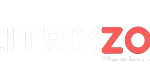 Digitrixzone Logo